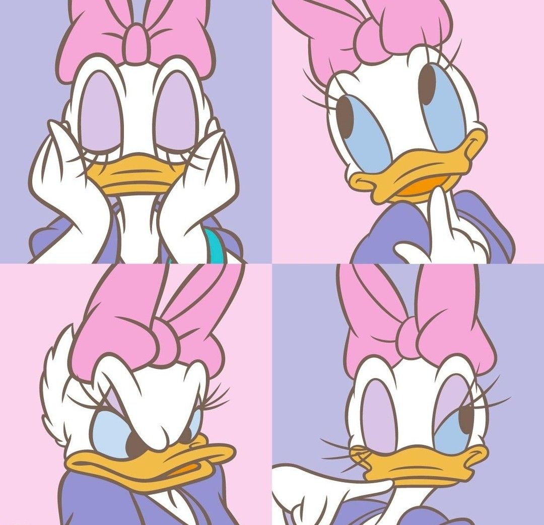 In S Chambino On Daisy Duck Wallpaper