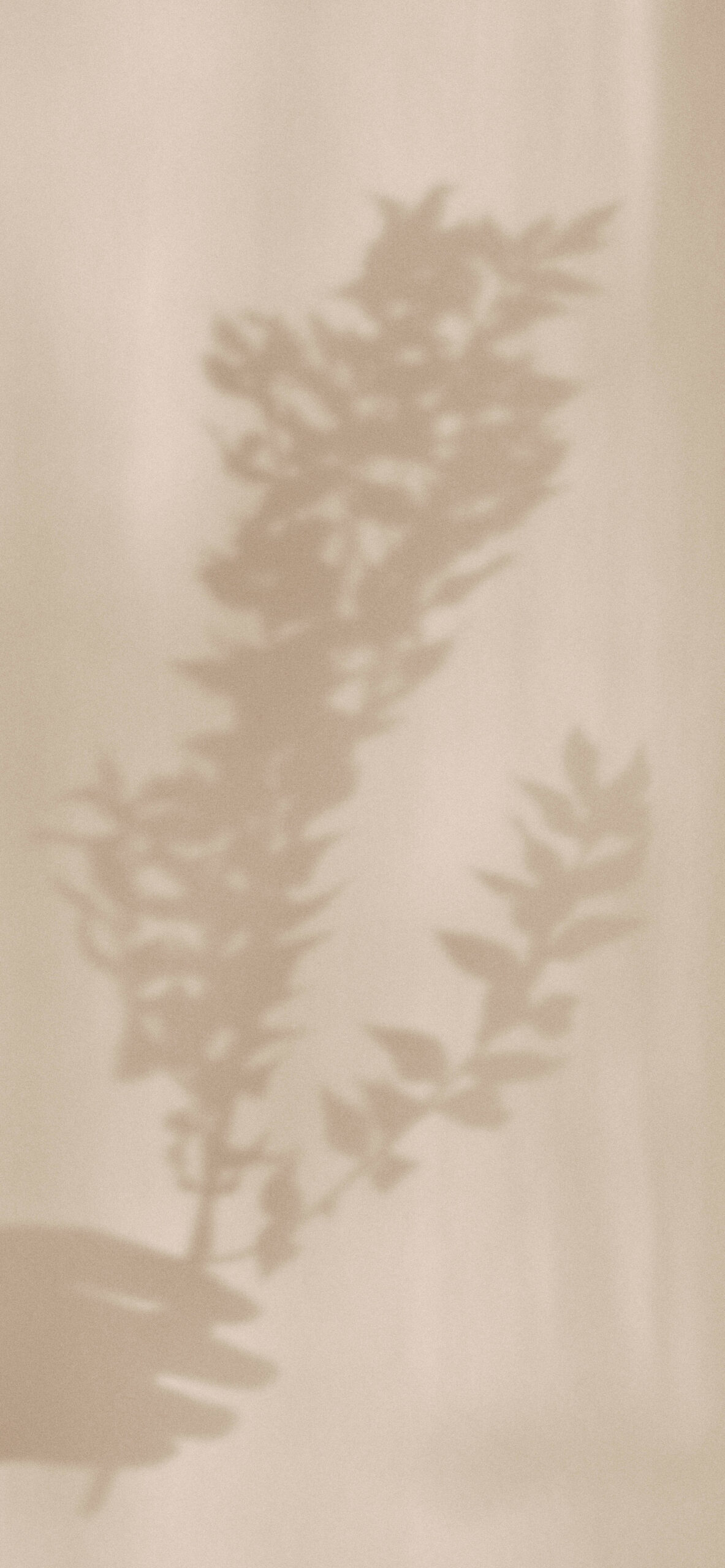 Light Brown Aesthetic Wallpaper