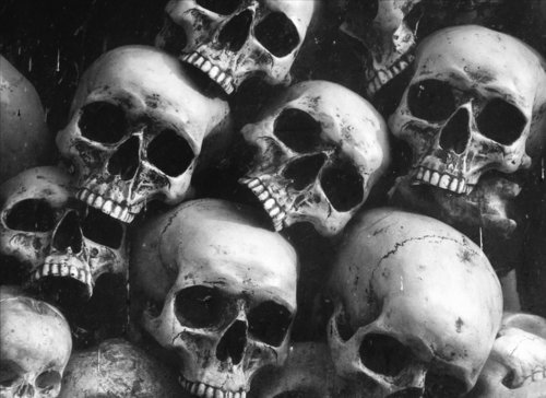 Black And White Skulls Image On Favim
