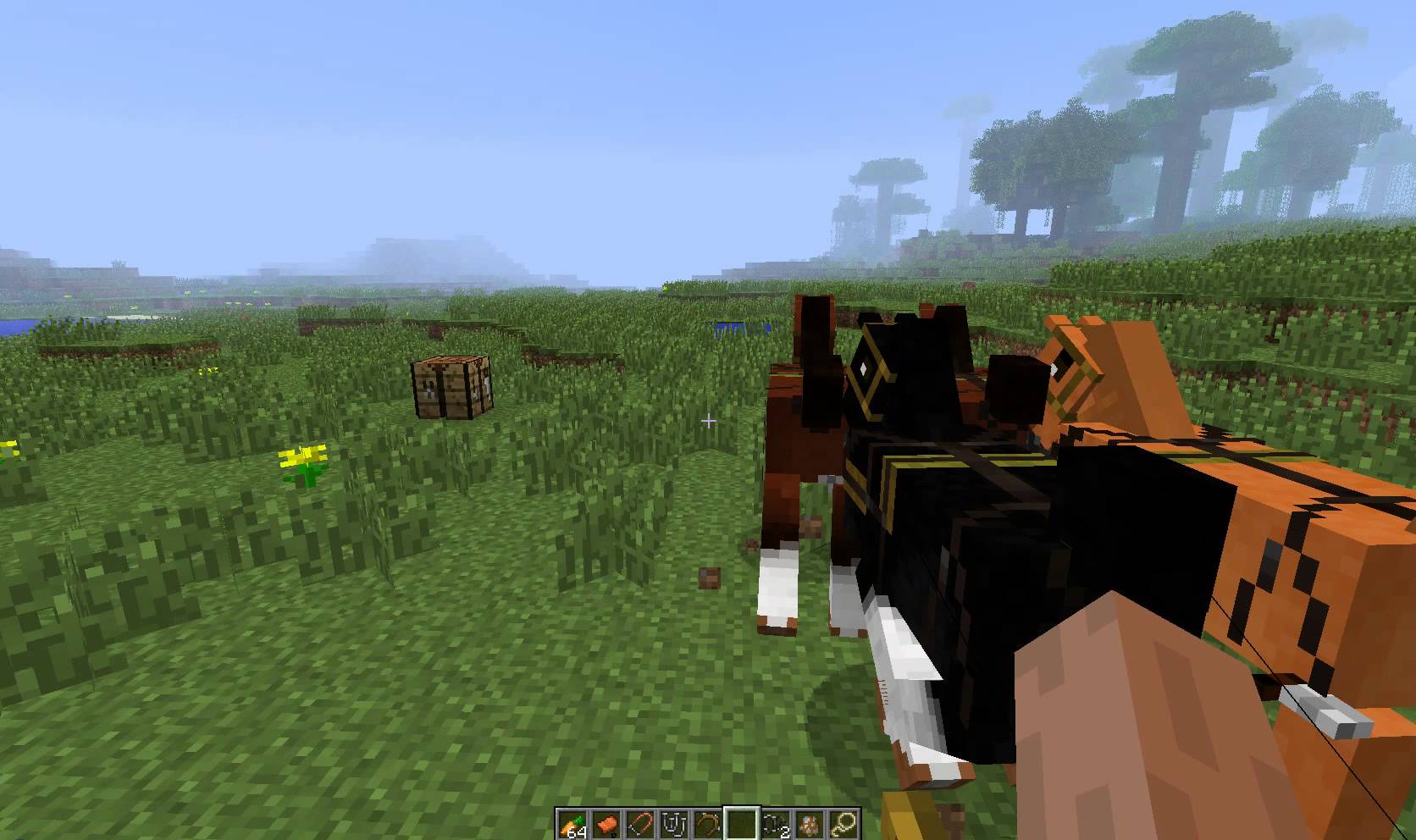 Related To Minecraft Horses How Tame