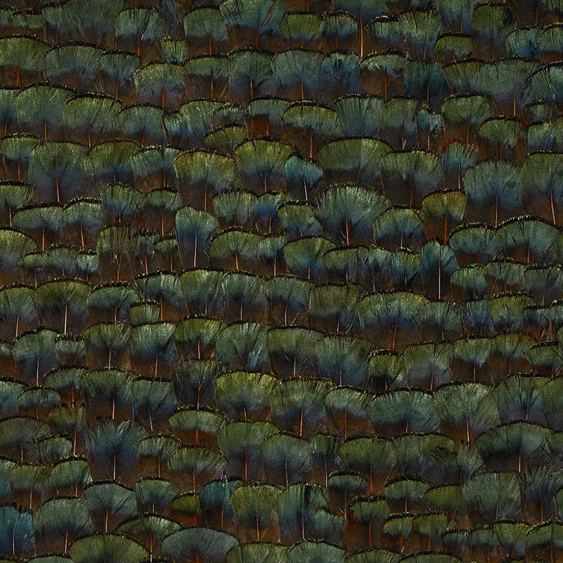 Schumacher Wallpaper Stillwater