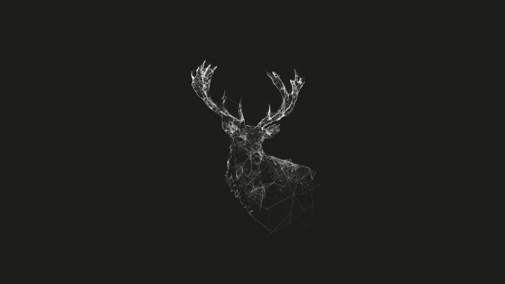 Deer Wallpaper By Sorryitsme