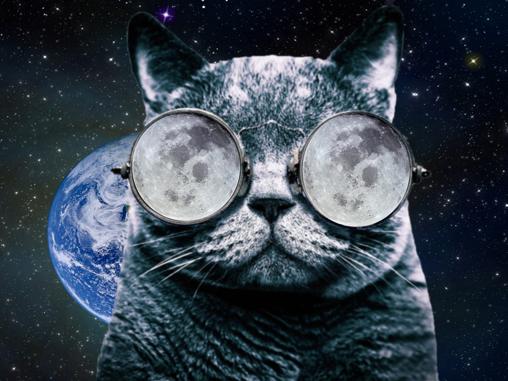 cat glasses Space by stevewoods69