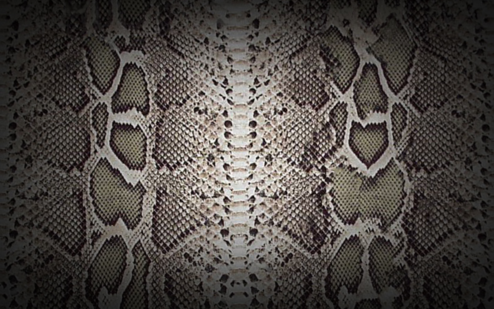 Premium Photo  Blue exotic snake skin pattern as a wallpaper