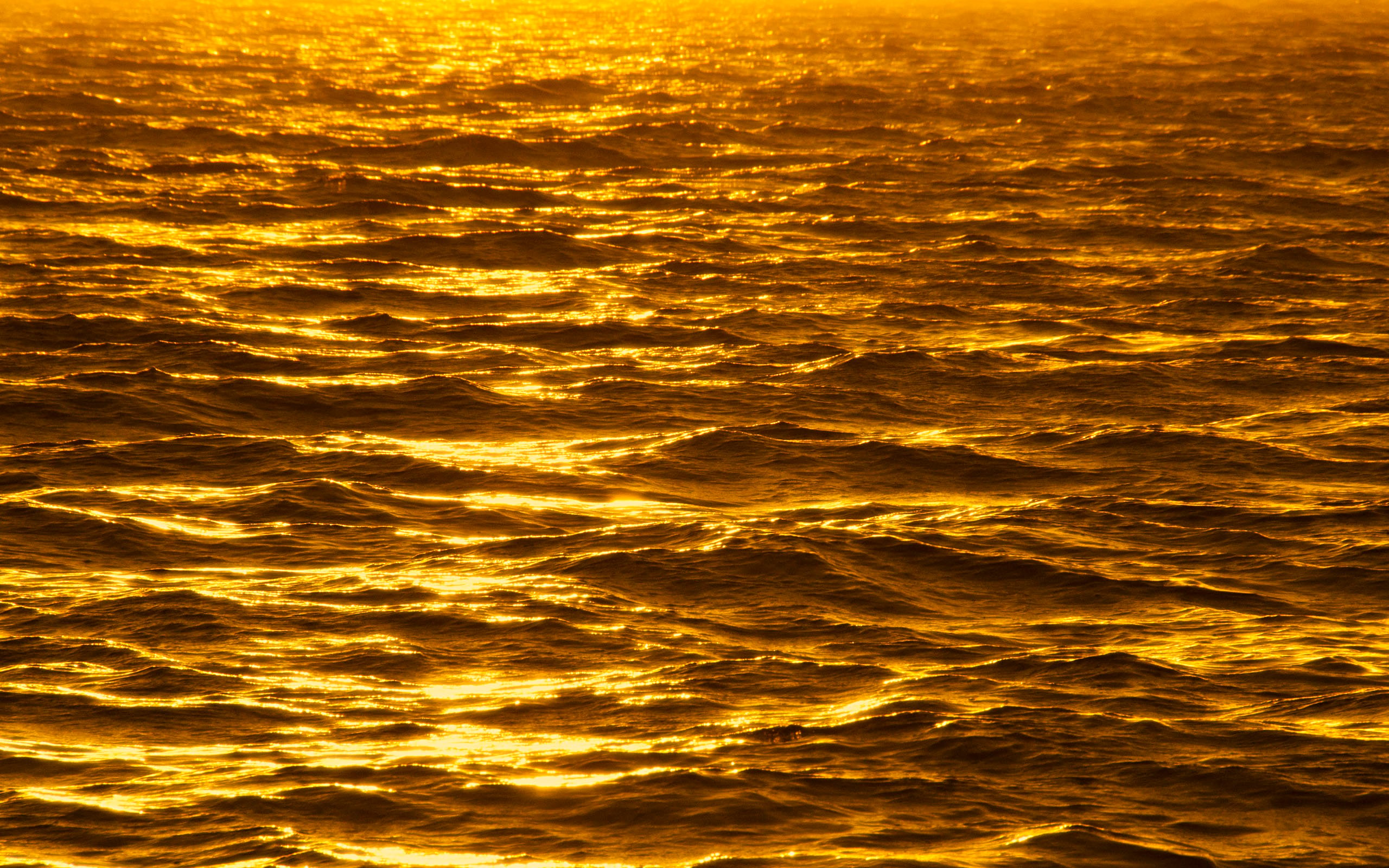 49+] Gold HD Wallpaper - WallpaperSafari