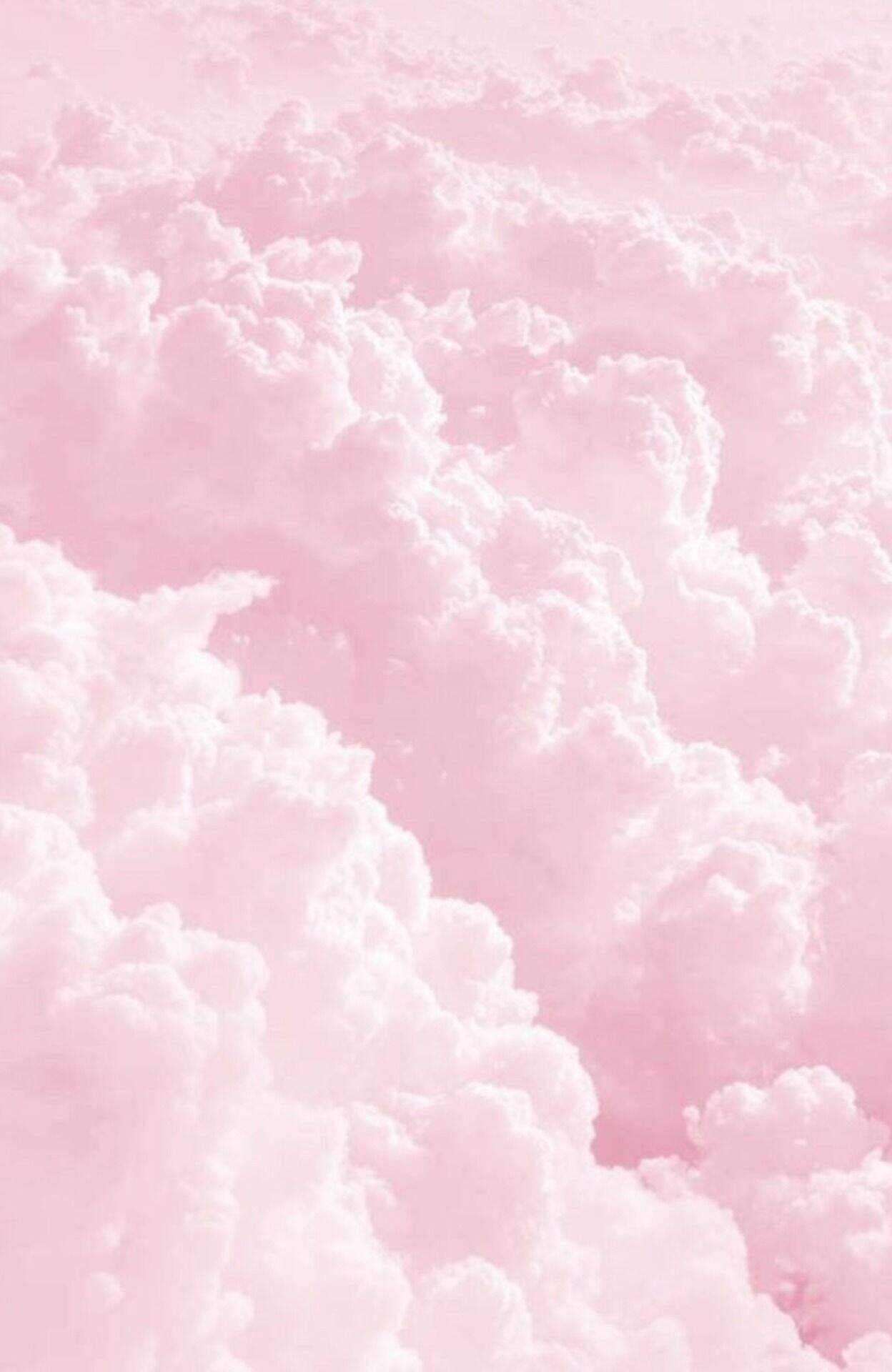 Aesthetic Baby Pink Background Wallpaper