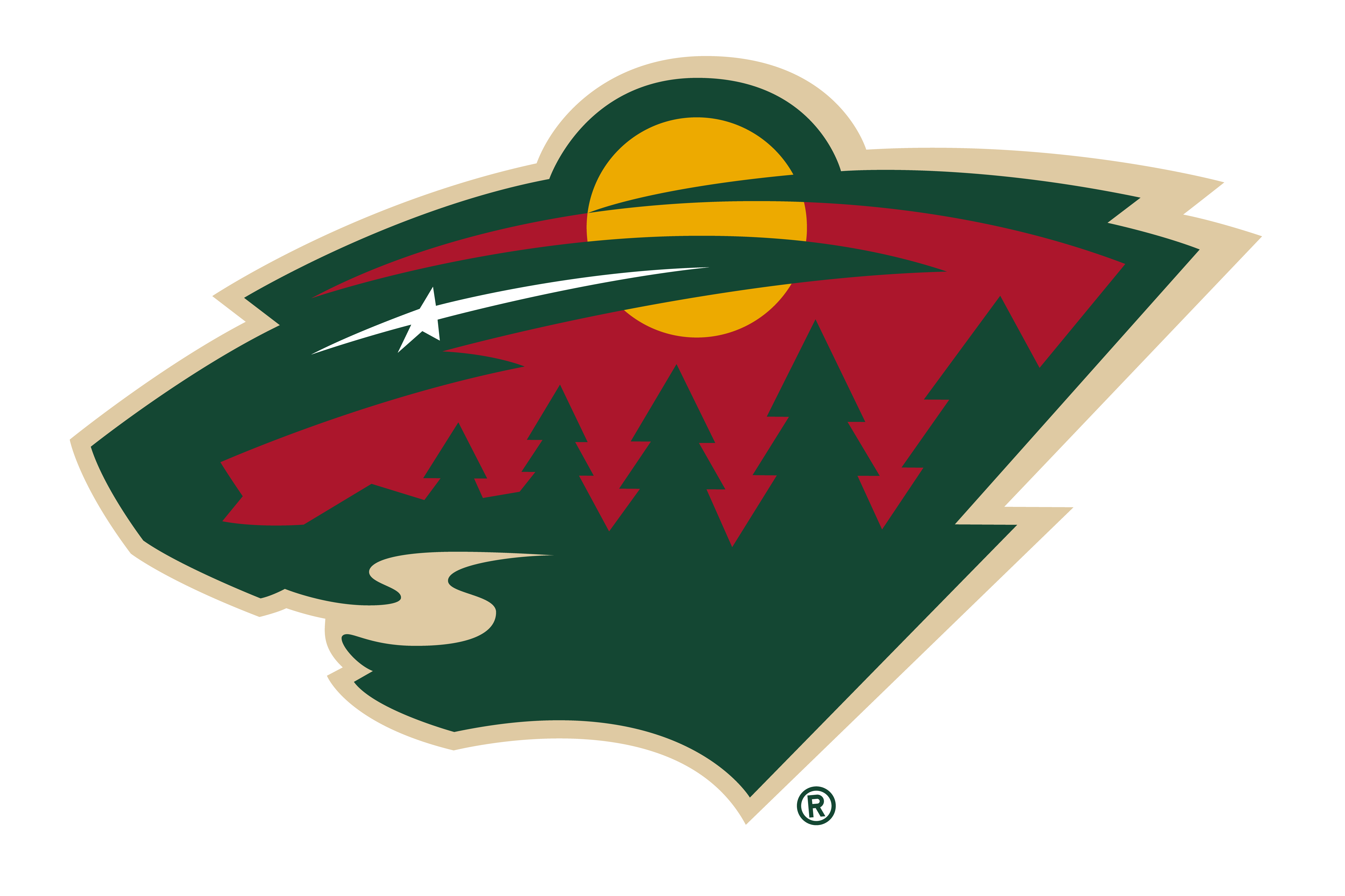 Minnesota Wild Sports 8k Ultra HD Wallpaper