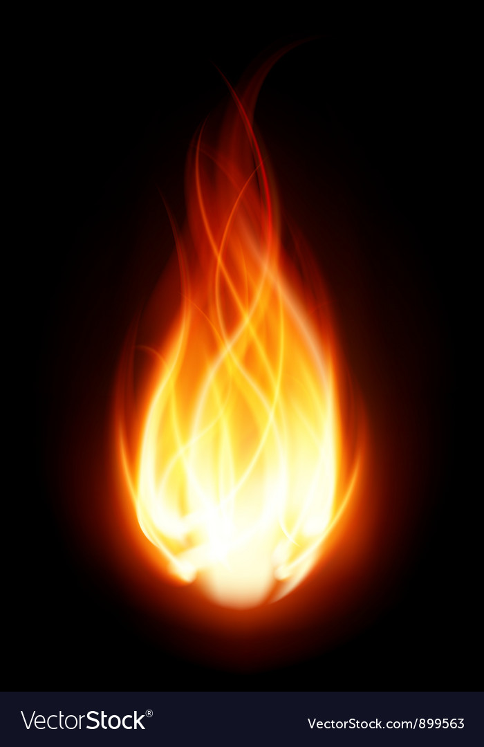 Burning Flame Fire Background Royalty Vector Image