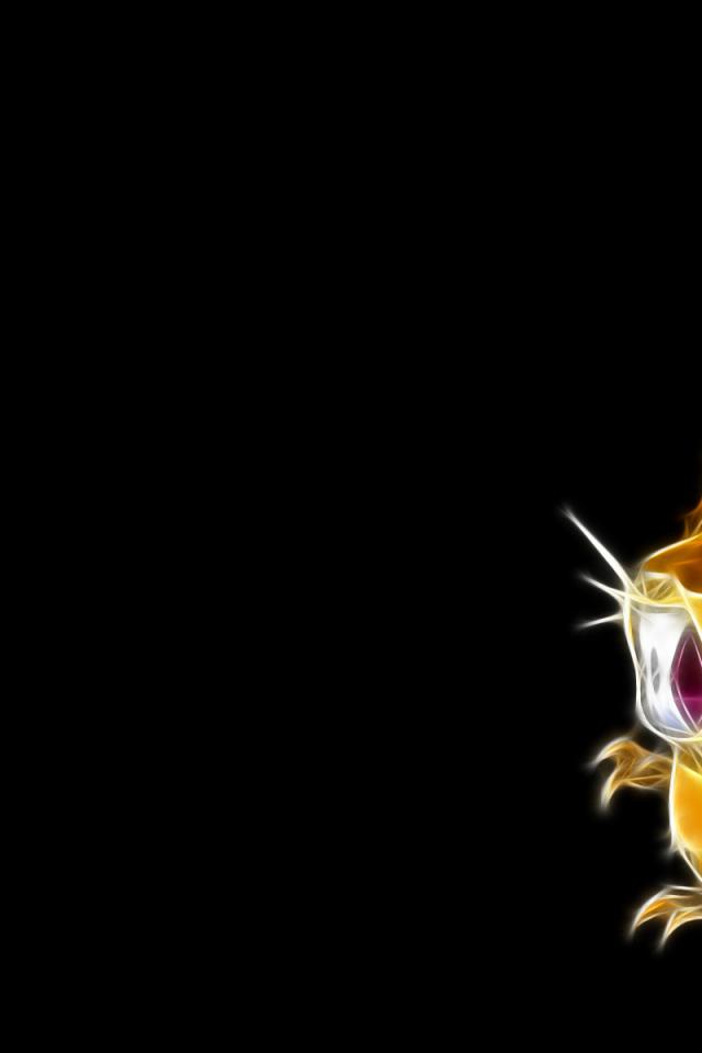 Pokemon Raticate Black Background 9kdb