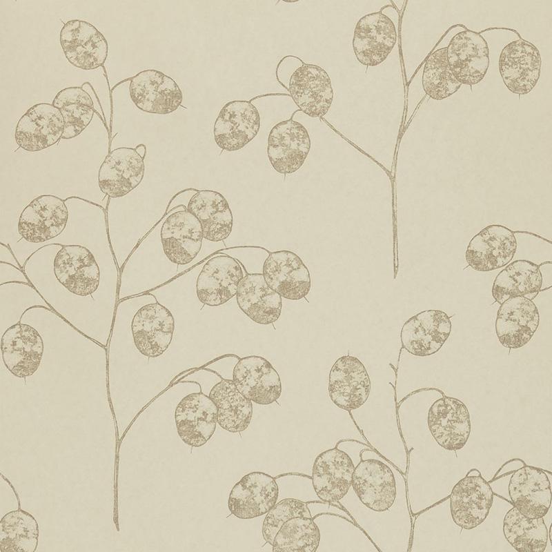 Sanderson Dpfwho103 Honesty Wallpaper Parchment Flowers