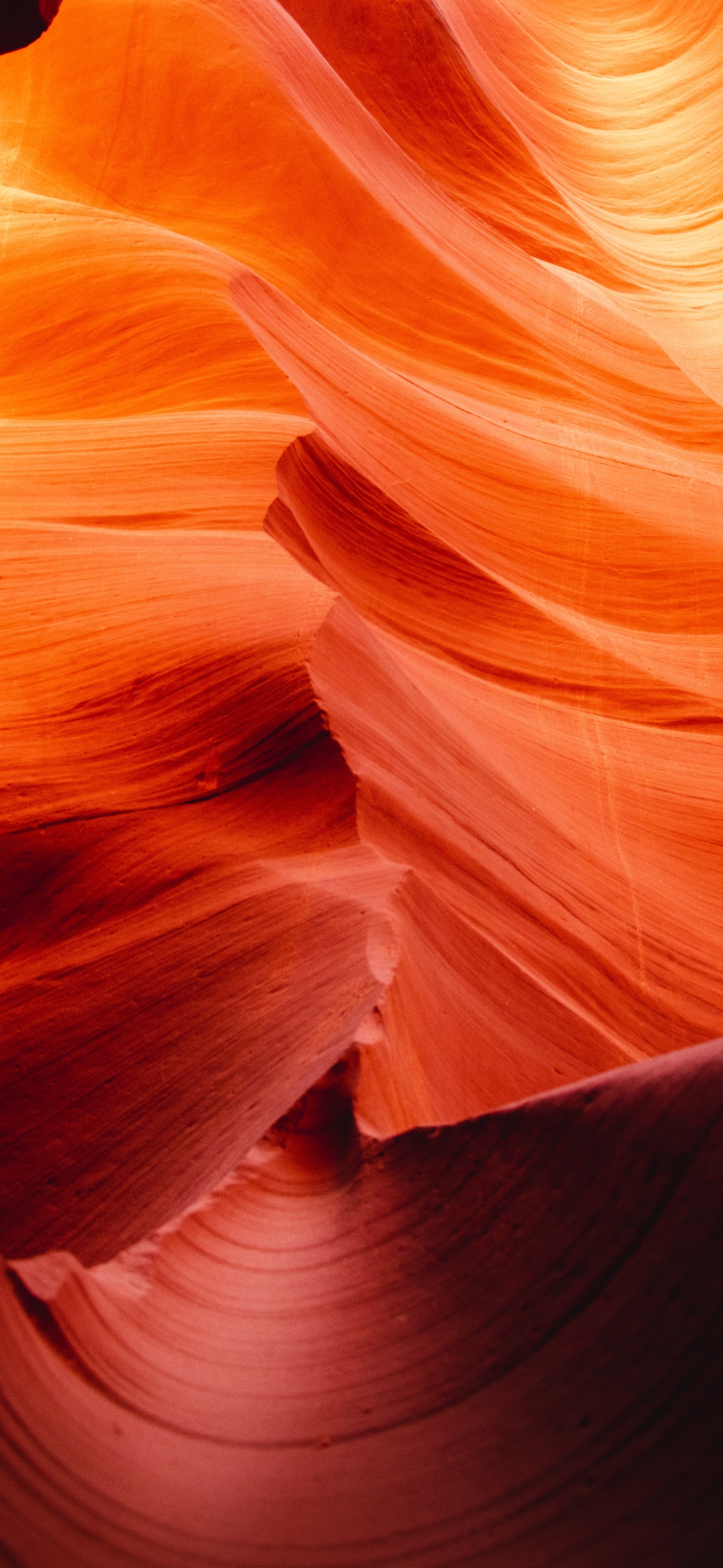 A Collection Of Vibrant Orange Wallpaper For iPhone