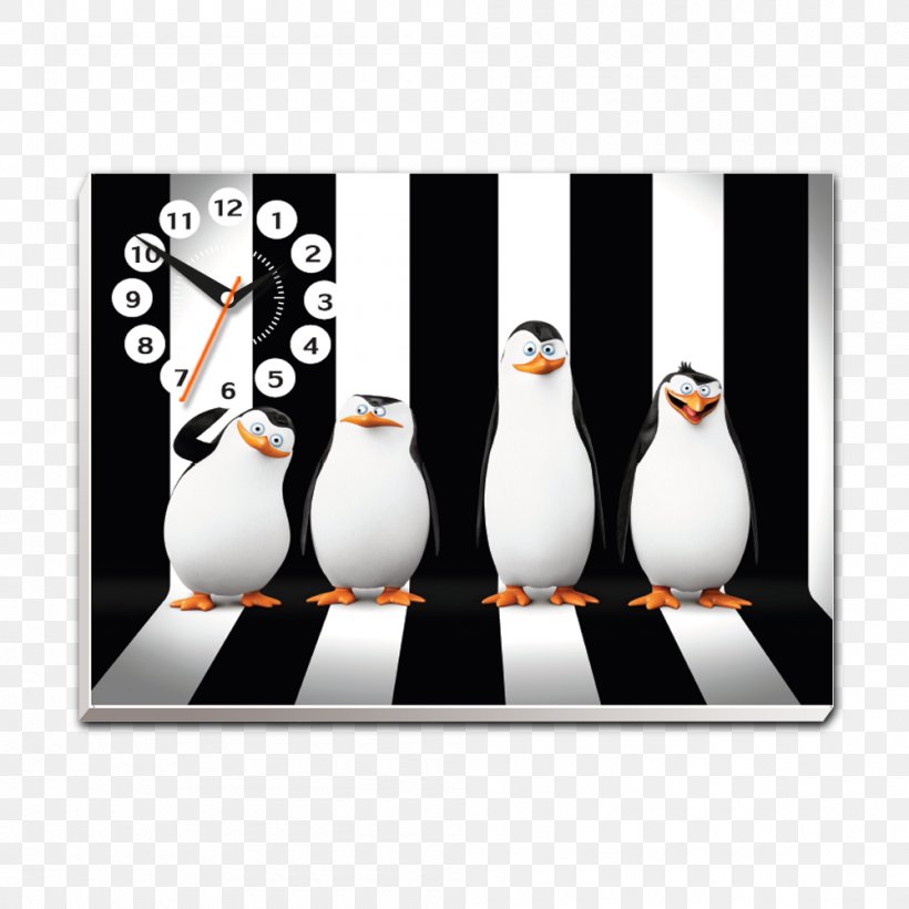 Penguin Kowalski Skipper Madagascar Desktop Wallpaper Png