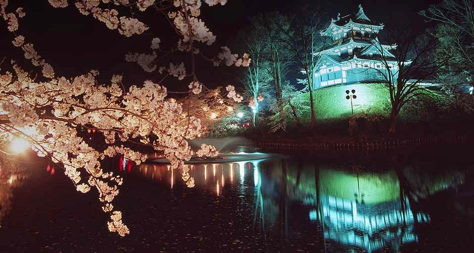 Cherry Blossoms At Takada Castle Joetsu Niigata Japan