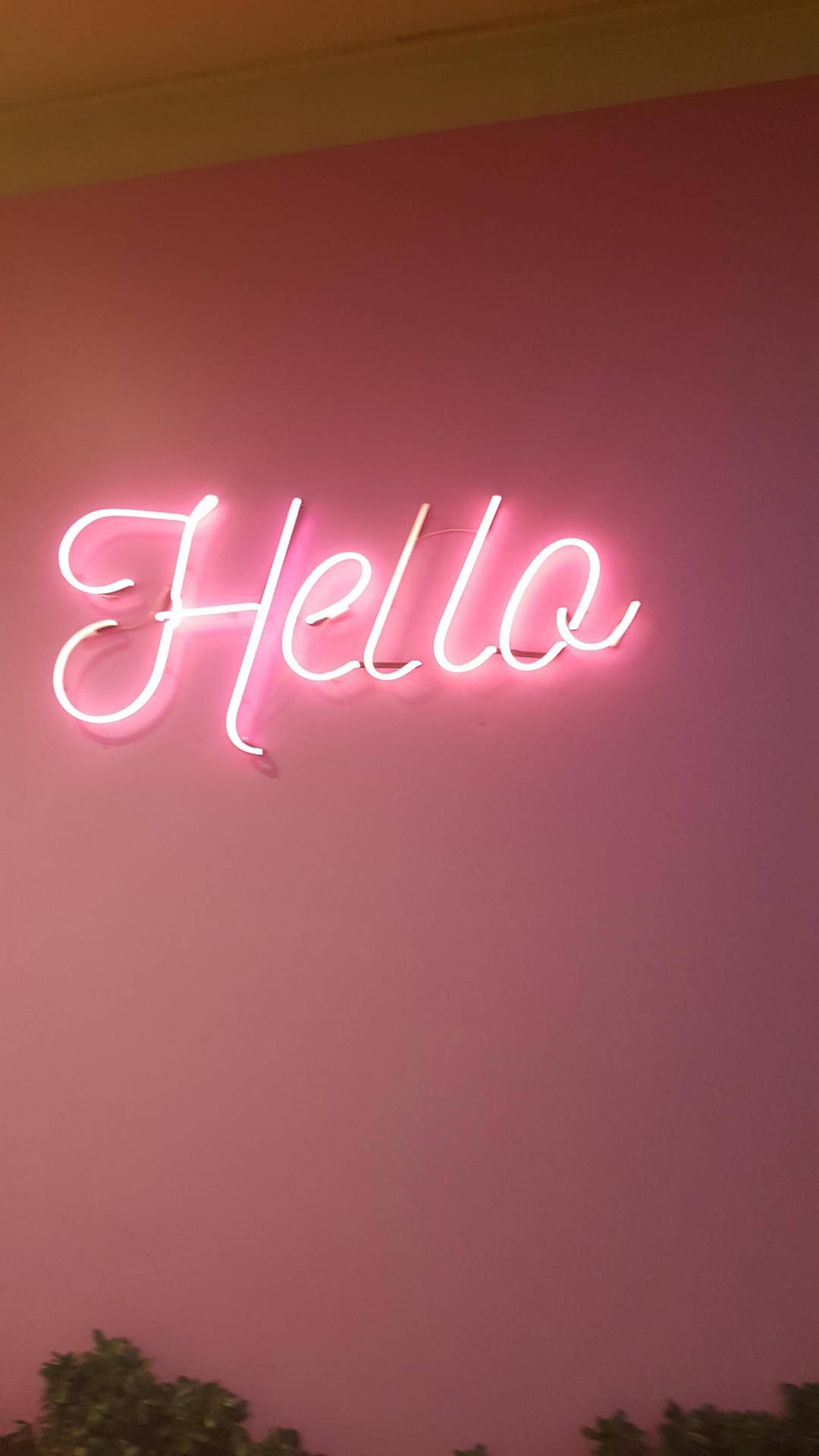 Pink Neon Aesthetic Wallpaper