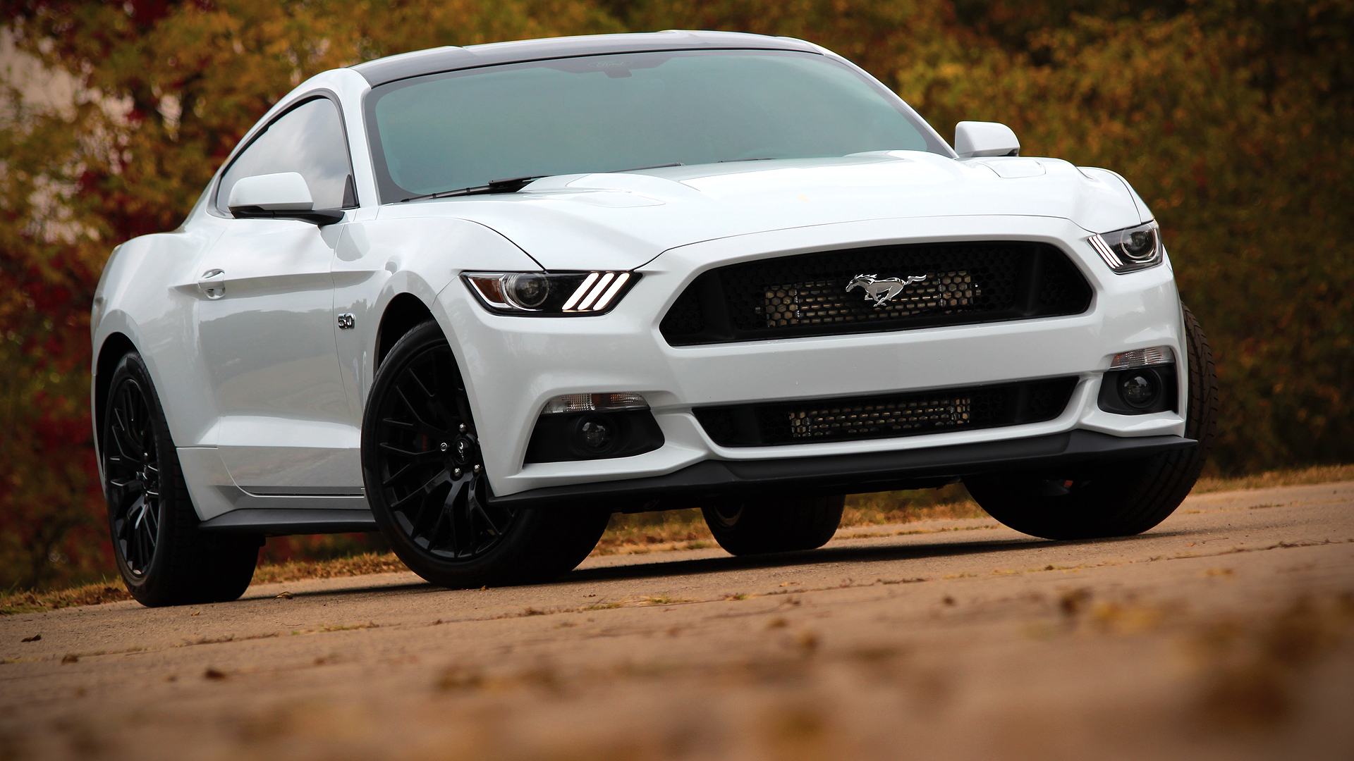 Procharger Mustang Gt Systems Now Shipping Wallpaper