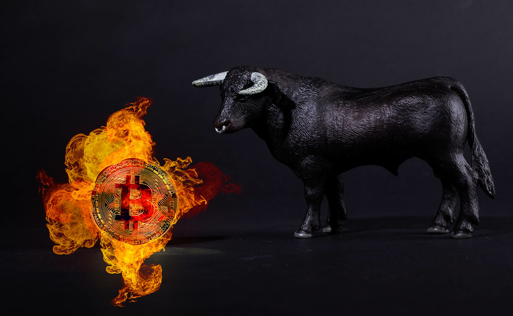 Angry Bull Images, Illustrations & Vectors (Free) - Bigstock