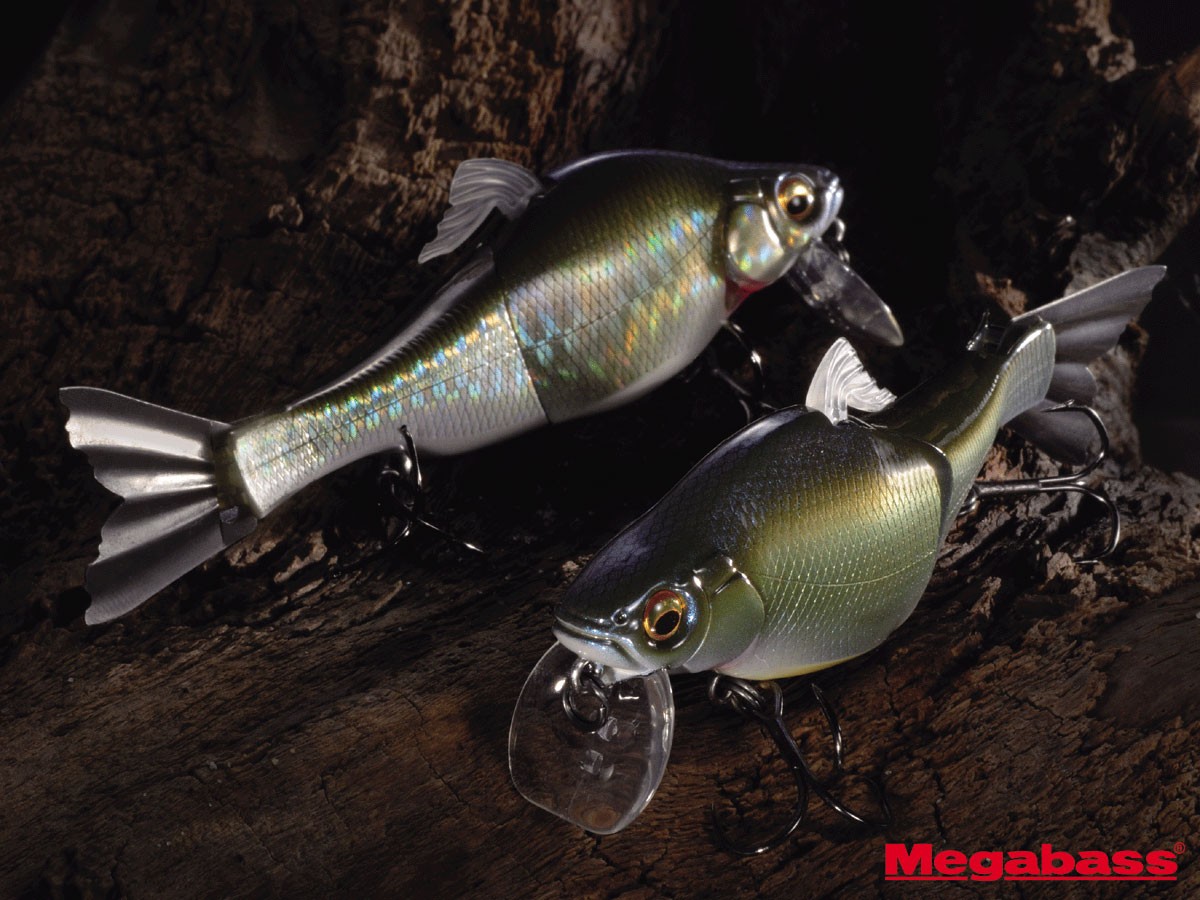 Free Download Fish Lure Wallpaper 10x900 Fish Lure Fishing Gear 10x900 For Your Desktop Mobile Tablet Explore 49 Bass Fishing Wallpaper For Iphone Fishing Wallpaper Hd