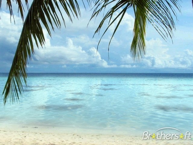 Tropical Beach Living Desktop