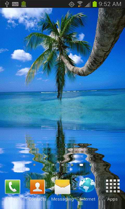 Coconut Tree On The Beach Live Wallpaper For Your Android Phone