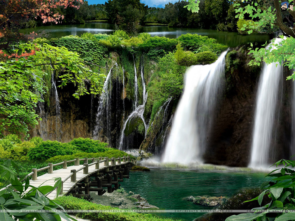 Waterfalls Forest Picture Photo