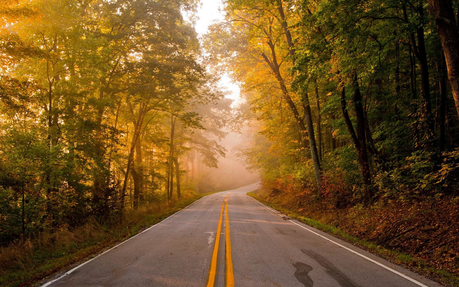 Road Trip Wallpaper