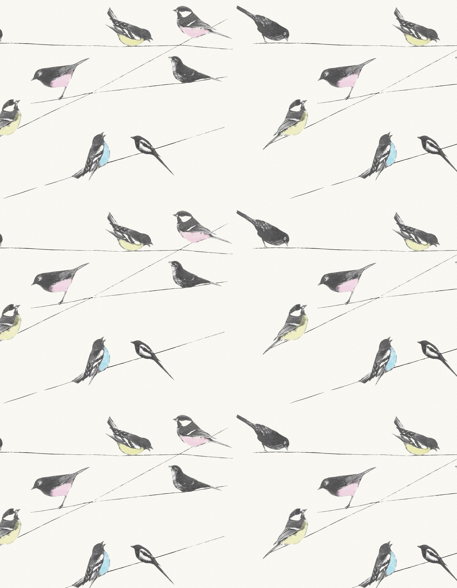 Garden Birds Stone by Louise Body Wallpaper Direct
