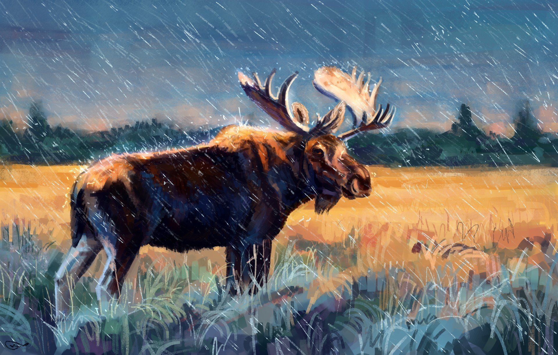Moose Wallpaper
