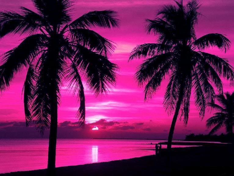 Pink sunset beach Wallpaper