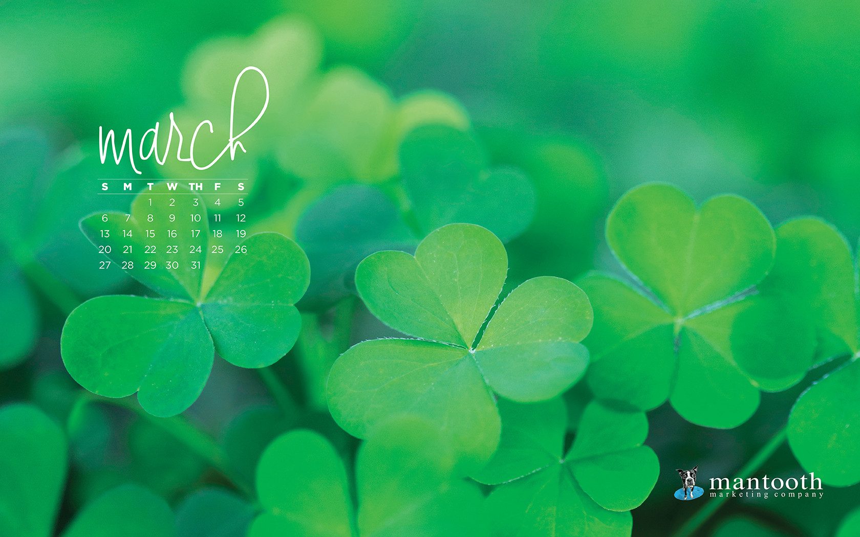 March Wallpaper HD Background Of Your Choice