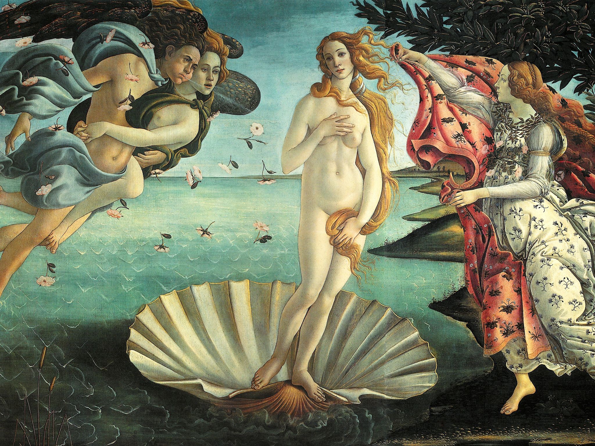Drawing Painting The Birth Of Venus Botticelli Desktop