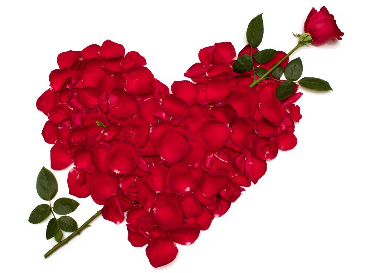 Symbol Of Love, background, flowers, heart, romantic, roses, HD wallpaper |  Peakpx