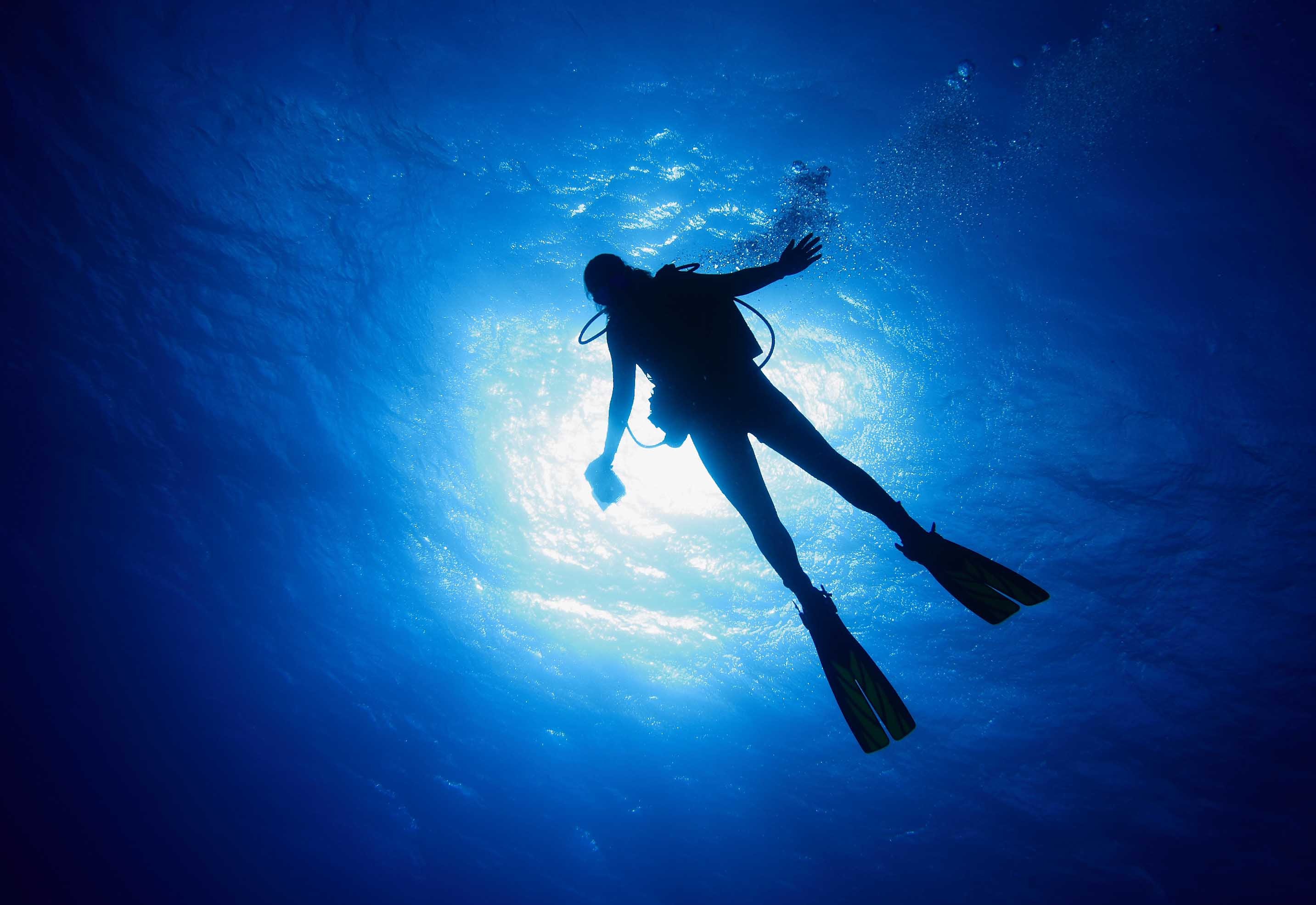 Scuba Diving Diver Ocean Sea Underwater Wallpaper
