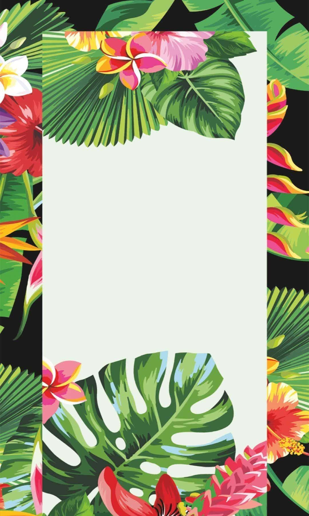 An Exotic Tropical Paradise Is Aesthetic For Any