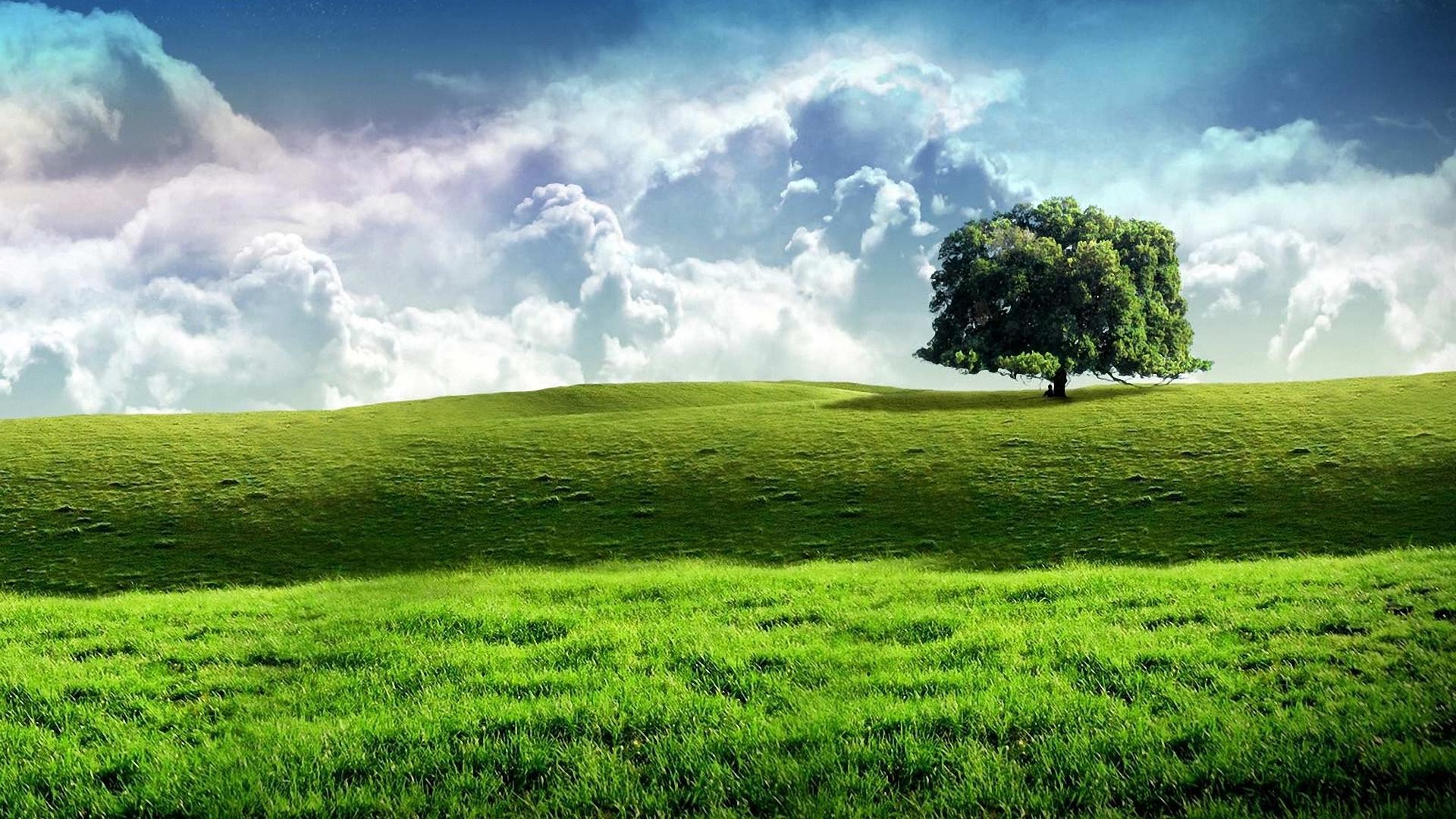 Nature Landscape Artwork Trees Wallpaper HD