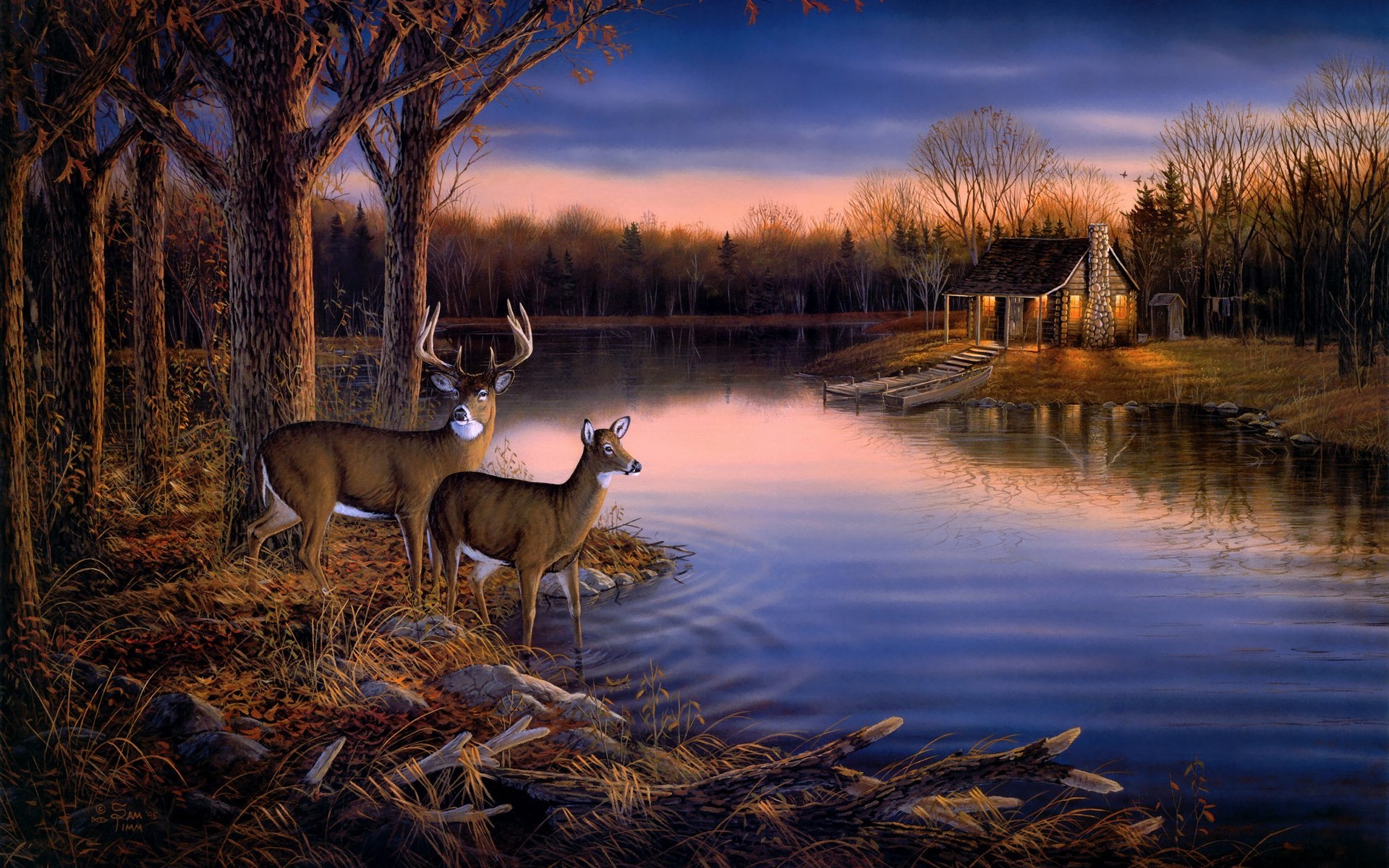 Deer Lake Evening Wall Mural HD Wallpaper Res