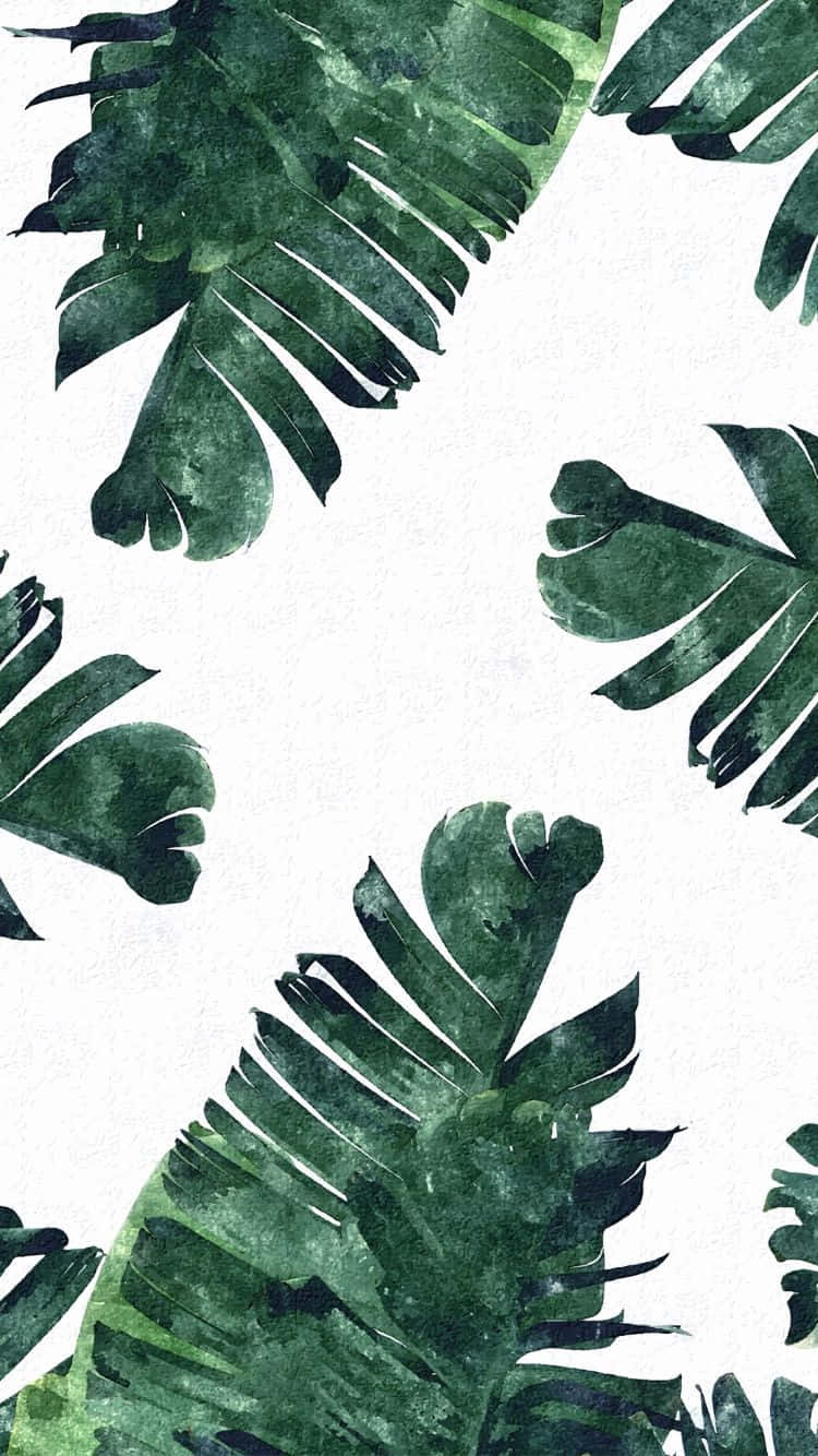 Tropical Leaves Desktop Wallpaper
