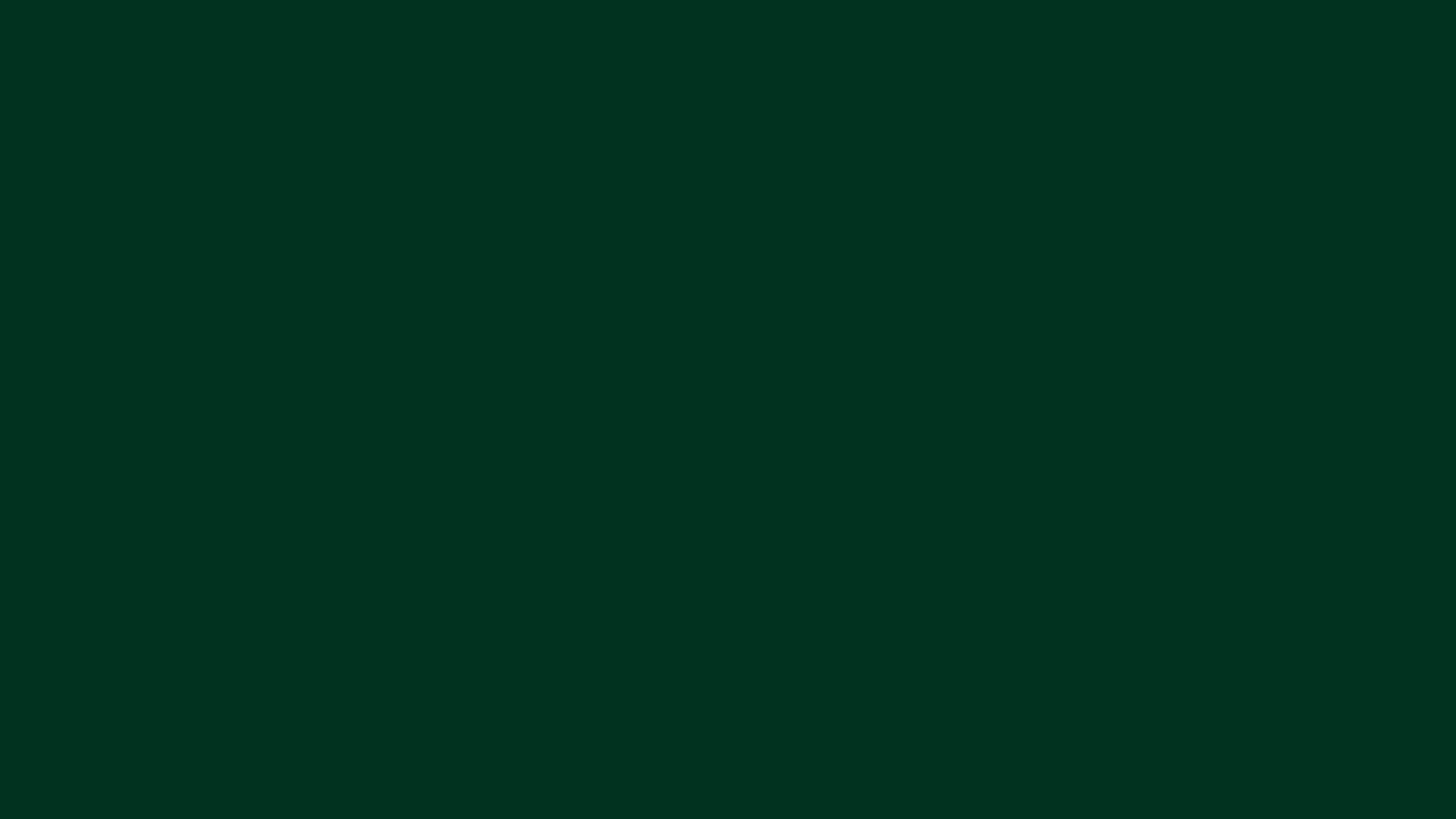 Dark Green Background Wallpaper