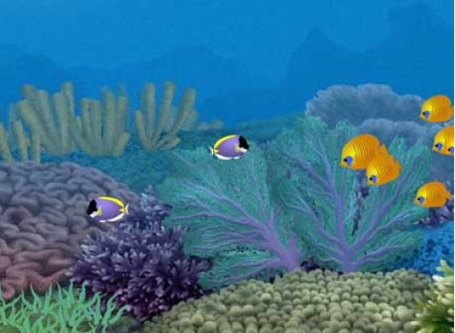 Animated Aquarium Wallpaper Underwater