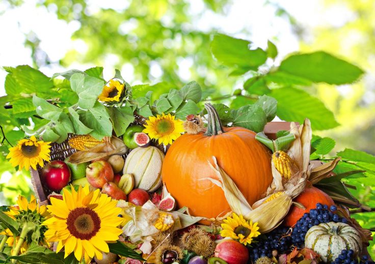 Food Fall Fruit Vegetables Autumn Thanksgiving Wallpaper