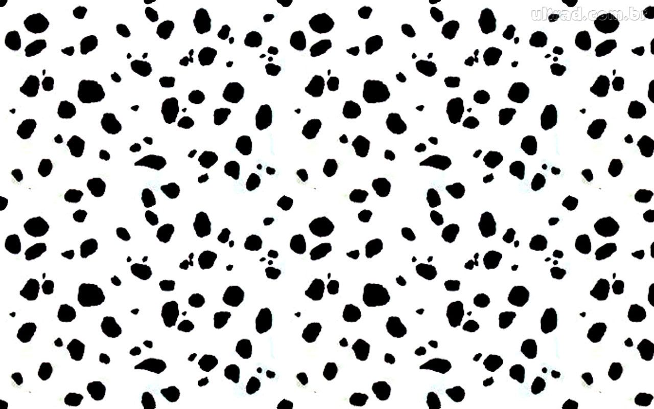 Arthouse Dalmatian Animal Print Black White Wallpaper
