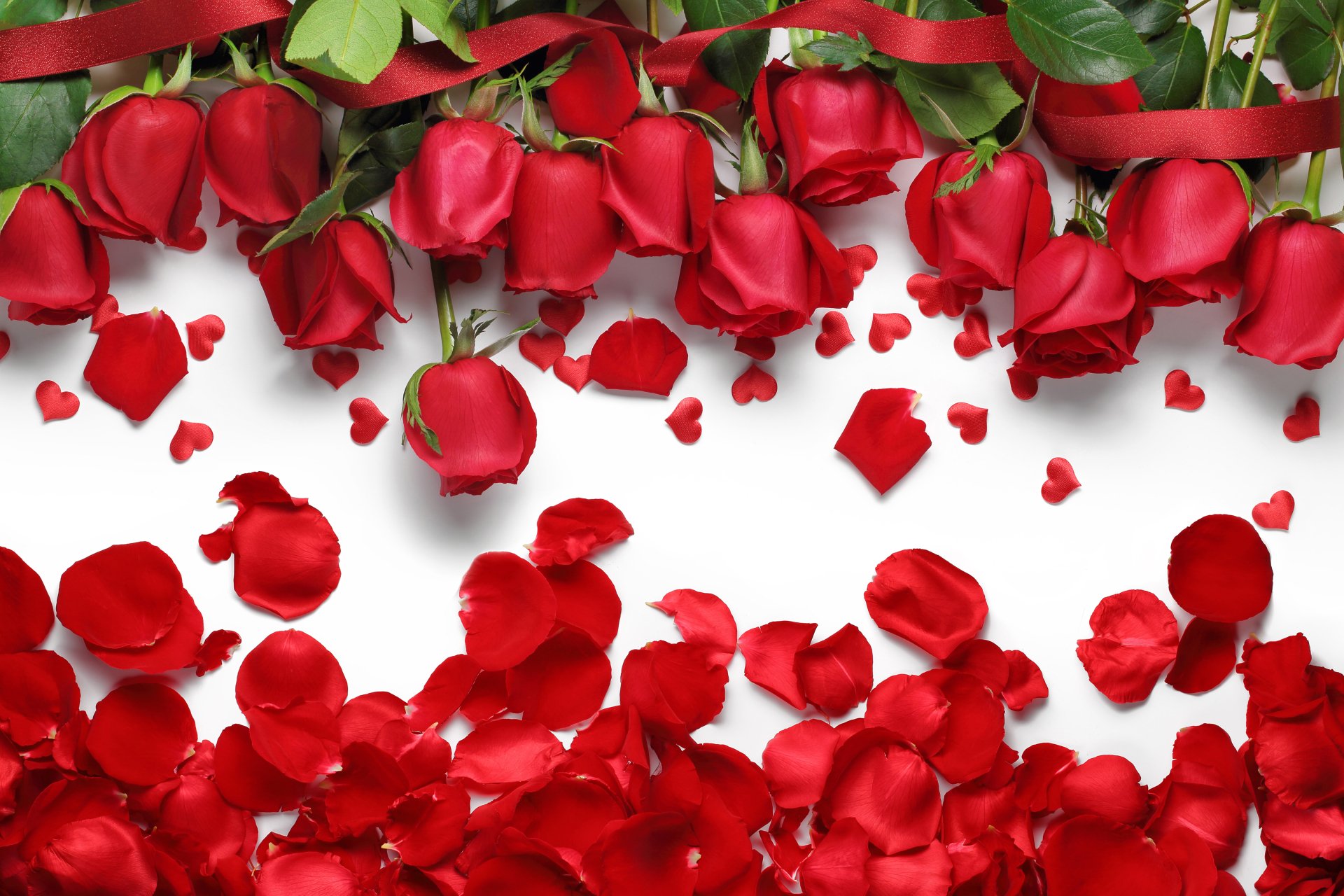 Stunning 4k Ultra HD Red Rose Petal Wallpaper