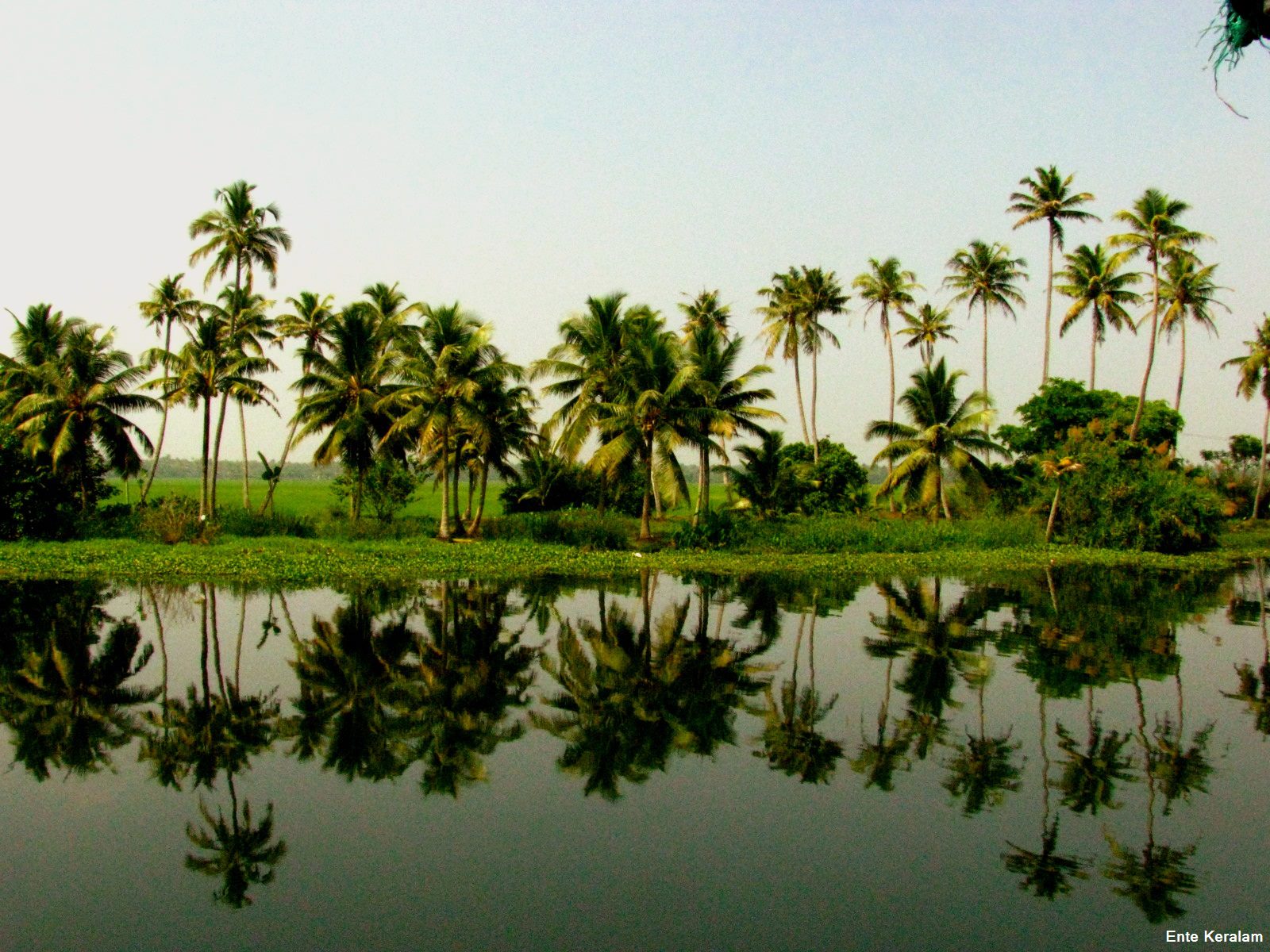 Suvidha Tourism Kerala Package