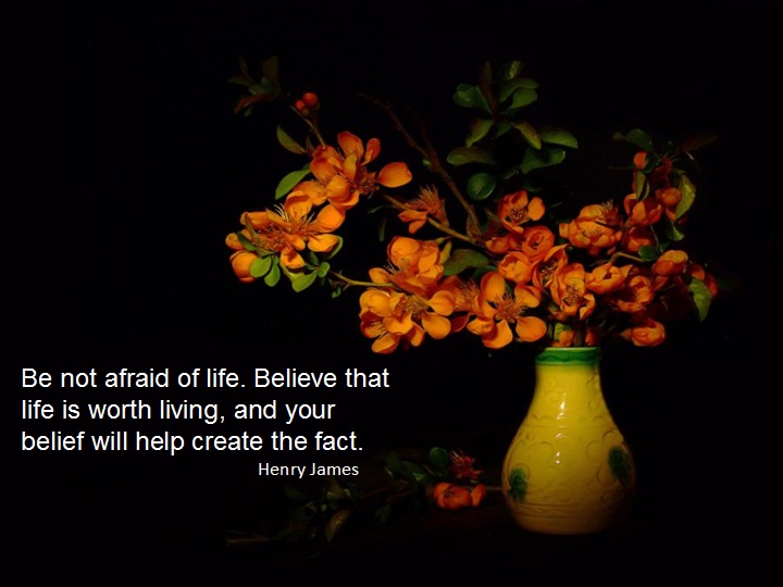 Best Wallpaper Natural Flower With Wise Words
