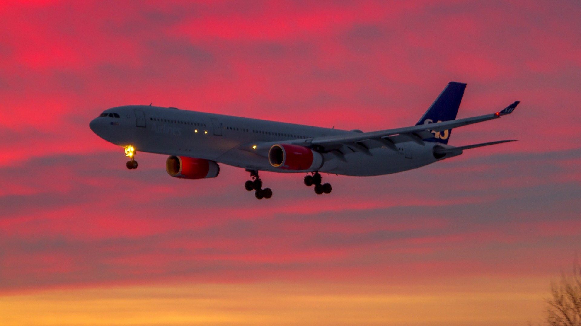 A SAS Scandinavian Airlines Airbus A330 airplane landing against a vibrant sunset sky