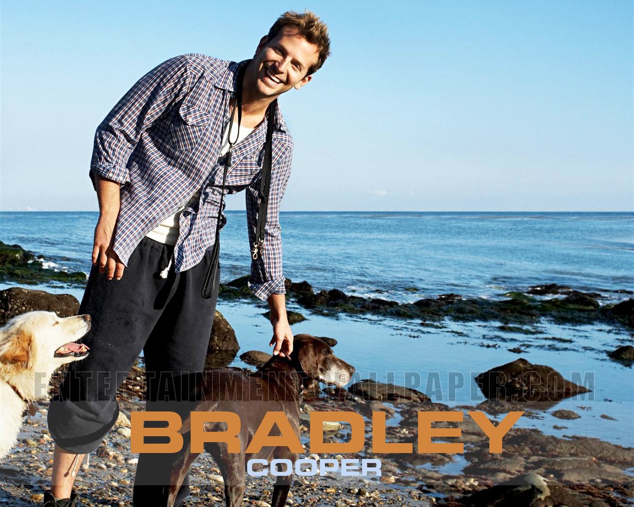 bradley cooper   Bradley Cooper Wallpaper 23904577 1280x1024