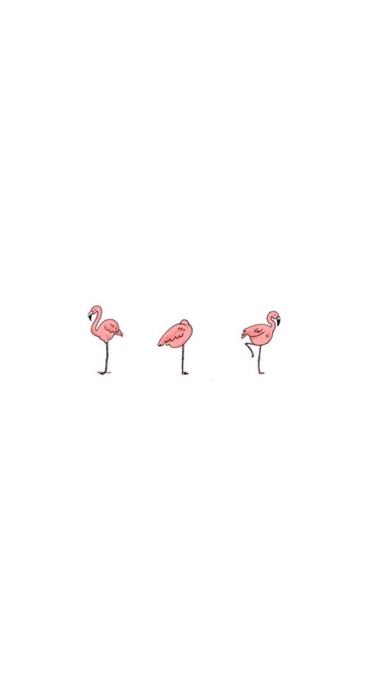 Niam Asna On Karangan Bunga Flamingo Wallpaper Cute