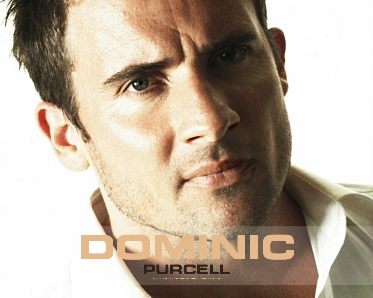 Dominic Purcell Wallpaper