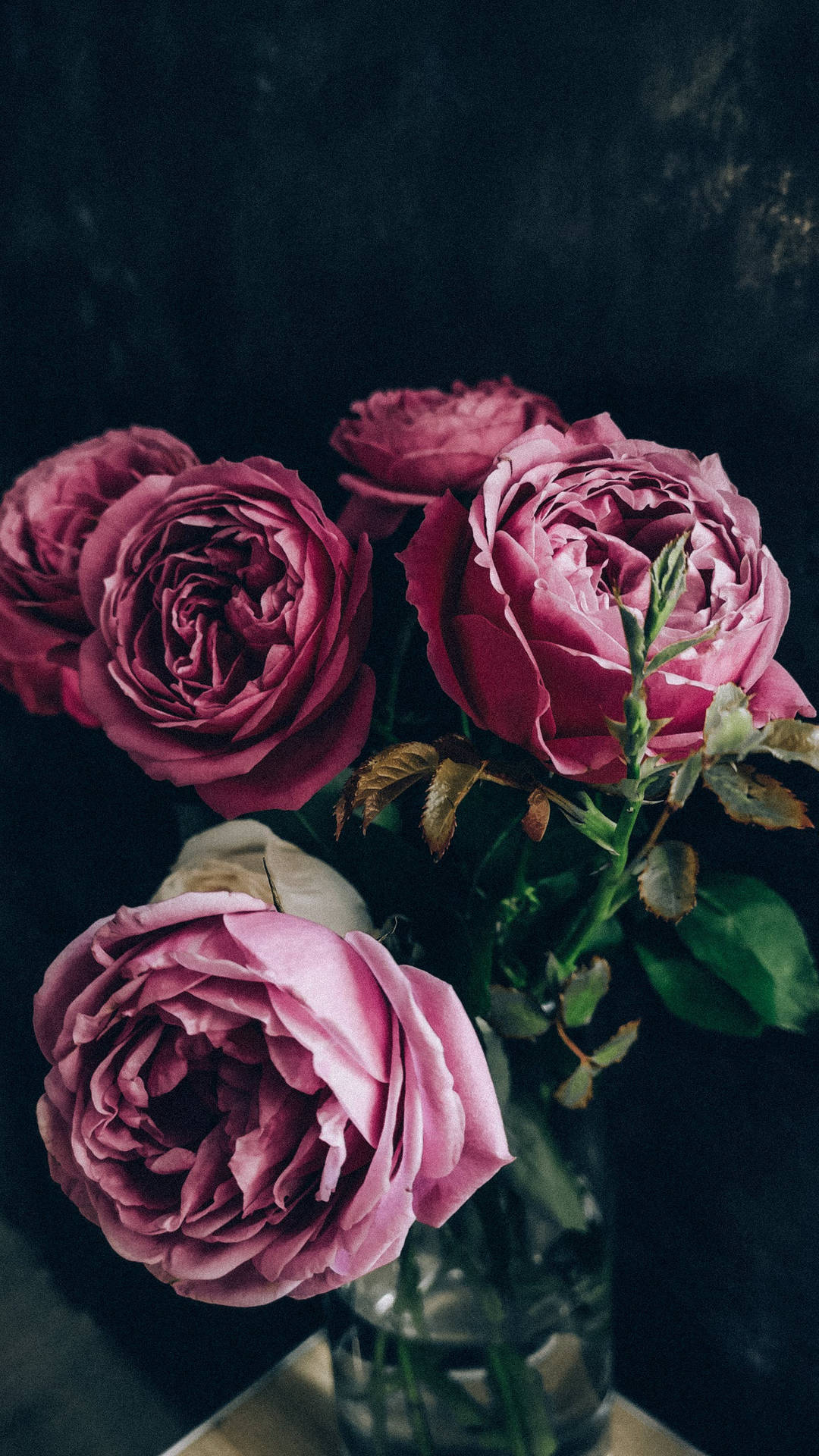 Top Black Aesthetic Rose Wallpaper Full HD 4k To Use