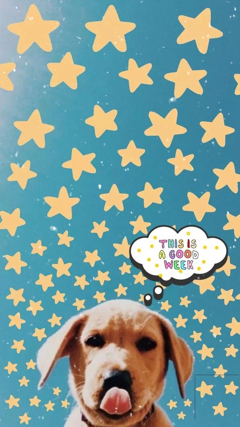 Dog Aesthetic Desktop Wallpapers  Top Free Dog Aesthetic Desktop  Backgrounds  WallpaperAccess