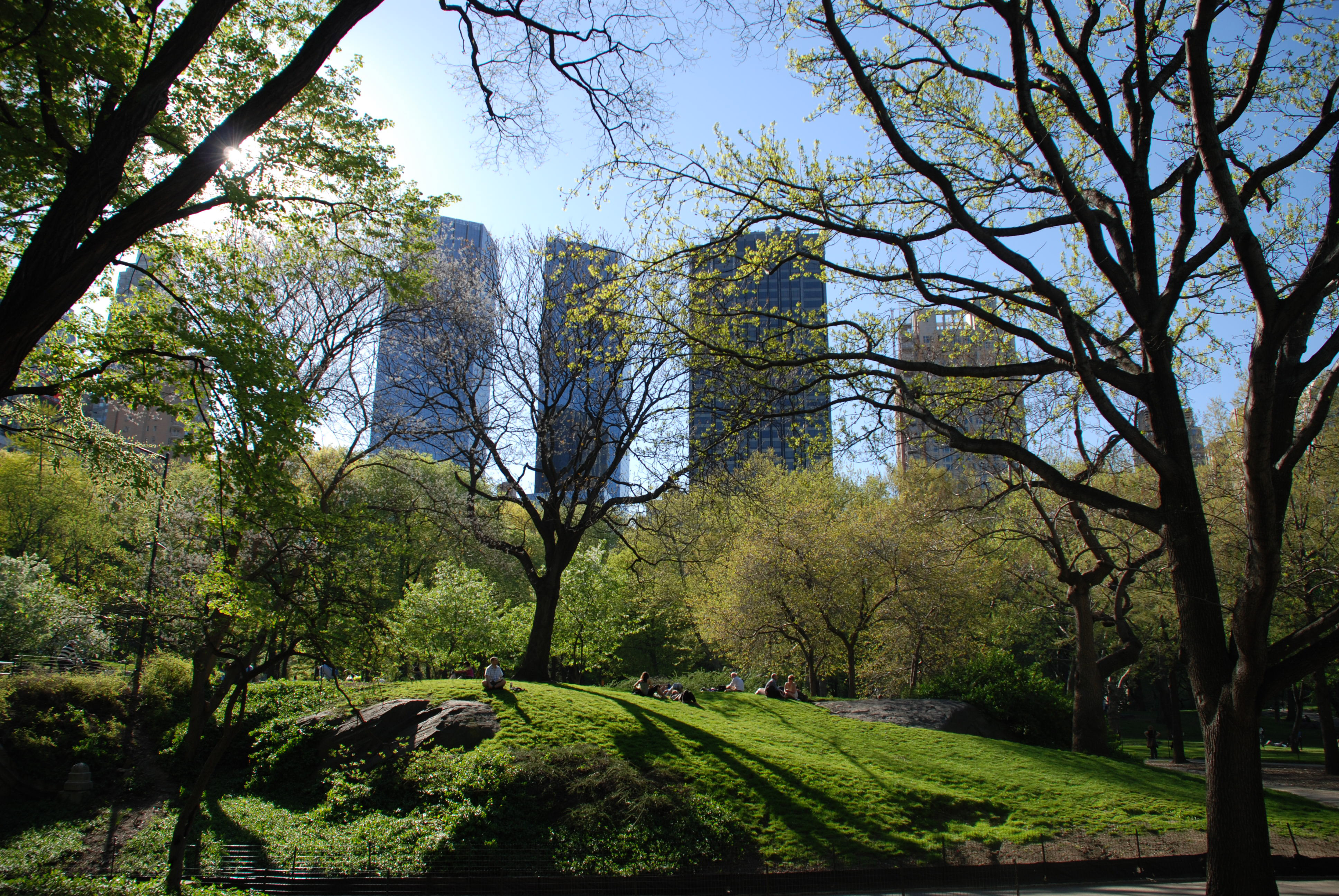 Central Park West Travel Wallpaper And Stock Photo